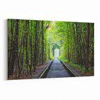 Olla 13902Y Doğa / Manzara Görseli Yatay Kanvas Tablo (Ölçü: 120X80)