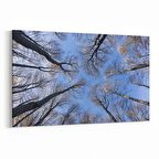 Olla 10703Y Ağaç Görseli Yatay Kanvas Tablo (Ölçü: 150X100)