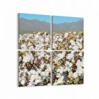 Olla 13562K4 Doğa / Manzara Görseli Kare 4'lü Kanvas Tablo (Ölçü: 65X65)