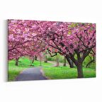 Olla 14265Y Doğa / Manzara Görseli Yatay Kanvas Tablo (Ölçü: 90X60)