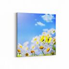 Olla 11677K Orkide Çiçek Görseli Kare Kanvas Tablo (Ölçü: 25X25)