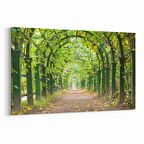 Olla 13281Y Doğa / Manzara Görseli Yatay Kanvas Tablo (Ölçü: 120X80)