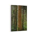 Olla 13911D Doğa / Manzara Görseli Dikey Kanvas Tablo (Ölçü: 100X150)