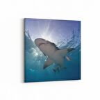 Olla 12914K Deniz / Okyanus Görseli Kare Kanvas Tablo (Ölçü: 25X25)