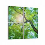 Olla 10497K4 Ağaç Görseli Kare 4'lü Kanvas Tablo (Ölçü: 145X145)
