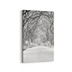 Olla 13780D Doğa / Manzara Görseli Dikey Kanvas Tablo (Ölçü: 20X30)