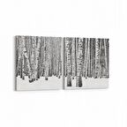 Olla 13317K2Y Doğa / Manzara Görseli Kare 2'li Yatay Kanvas Tablo (Ölçü: 105X50)