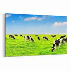 Olla 12671Y Hayvanlar Alemi Görseli Yatay Kanvas Tablo (Ölçü: 150X100)