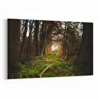 Olla 14005Y Doğa / Manzara Görseli Yatay Kanvas Tablo (Ölçü: 90X60)