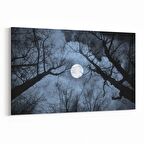 Olla 14769Y Gece Gökyüzü Görseli Yatay Kanvas Tablo (Ölçü: 30X20)