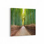 Olla 13646K Doğa / Manzara Görseli Kare Kanvas Tablo (Ölçü: 25X25)