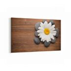 Olla 17052Y Spa / Masaj Görseli Yatay Kanvas Tablo (Ölçü: 90X60)