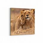 Olla 12468K Hayvanlar Alemi Görseli Kare Kanvas Tablo (Ölçü: 60X60)