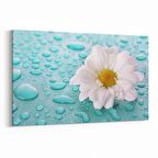 Olla 10897Y Ağaç Görseli Yatay Kanvas Tablo (Ölçü: 150X100)