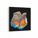 Olla 12503K Hayvanlar Alemi Görseli Kare Kanvas Tablo (Ölçü: 25X25)