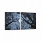 Olla 14769K2Y Gece Gökyüzü Görseli Kare 2'li Yatay Kanvas Tablo (Ölçü: 145X70)