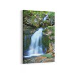 Olla 13232D Doğa / Manzara Görseli Dikey Kanvas Tablo (Ölçü: 100X150)