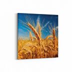 Olla 15270K Gıda Görseli Kare Kanvas Tablo (Ölçü: 25X25)