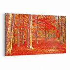 Olla 13553Y Doğa / Manzara Görseli Yatay Kanvas Tablo (Ölçü: 30X20)