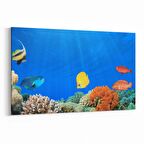 Olla 12202Y Akvaryum / Balık Görseli Yatay Kanvas Tablo (Ölçü: 120X80)