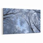 Olla 10505Y Ağaç Görseli Yatay Kanvas Tablo (Ölçü: 70X50)