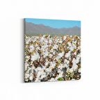 Olla 13562K Doğa / Manzara Görseli Kare Kanvas Tablo (Ölçü: 25X25)