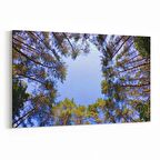 Olla 11042Y Ağaç Görseli Yatay Kanvas Tablo (Ölçü: 120X80)