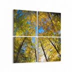 Olla 10883K4 Ağaç Görseli Kare 4'lü Kanvas Tablo (Ölçü: 65X65)