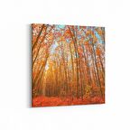 Olla 13239K Doğa / Manzara Görseli Kare Kanvas Tablo (Ölçü: 60X60)