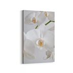 Olla 11723D Orkide Çiçek Görseli Dikey Kanvas Tablo (Ölçü: 70X105)
