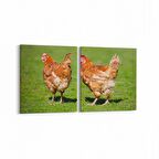 Olla 12591K2Y Hayvanlar Alemi Görseli Kare 2'li Yatay Kanvas Tablo (Ölçü: 65X30)