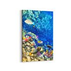 Olla 12126D Akvaryum / Balık Görseli Dikey Kanvas Tablo (Ölçü: 100X150)