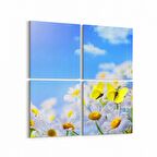 Olla 11677K4 Orkide Çiçek Görseli Kare 4'lü Kanvas Tablo (Ölçü: 65X65)