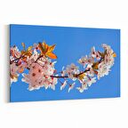 Olla 10552Y Ağaç Görseli Yatay Kanvas Tablo (Ölçü: 120X80)