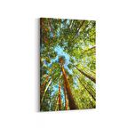 Olla 11032D Ağaç Görseli Dikey Kanvas Tablo (Ölçü: 100X150)