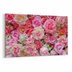 Olla 11591Y Çiçek Görseli Yatay Kanvas Tablo (Ölçü: 150X100)