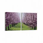 Olla 13453K2Y Doğa / Manzara Görseli Kare 2'li Yatay Kanvas Tablo (Ölçü: 145X70)