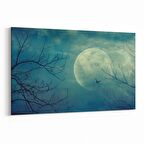 Olla 14707Y Gece Gökyüzü Görseli Yatay Kanvas Tablo (Ölçü: 30X20)