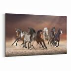 Olla 12662Y Hayvanlar Alemi Görseli Yatay Kanvas Tablo (Ölçü: 150X100)