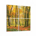 Olla 14354K4 Doğa / Manzara Görseli Kare 4'lü Kanvas Tablo (Ölçü: 65X65)