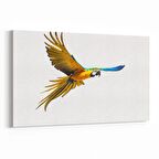 Olla 12557Y Hayvanlar Alemi Görseli Yatay Kanvas Tablo (Ölçü: 150X100)