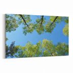 Olla 10602Y Ağaç Görseli Yatay Kanvas Tablo (Ölçü: 90X60)