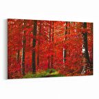 Olla 14592Y Doğa / Manzara Görseli Yatay Kanvas Tablo (Ölçü: 90X60)