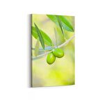 Olla 15115D Gıda Görseli Dikey Kanvas Tablo (Ölçü: 60X90)