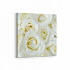 Olla 11646K Çiçek Görseli Kare Kanvas Tablo (Ölçü: 25X25)