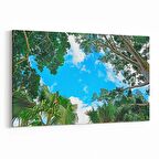 Olla 10857Y Ağaç Görseli Yatay Kanvas Tablo (Ölçü: 90X60)