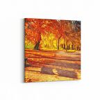 Olla 13522K Doğa / Manzara Görseli Kare Kanvas Tablo (Ölçü: 25X25)