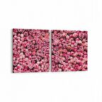 Olla 11627K2Y Çiçek Görseli Kare 2'li Yatay Kanvas Tablo (Ölçü: 105X50)