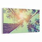 Olla 10744Y Ağaç Görseli Yatay Kanvas Tablo (Ölçü: 150X100)