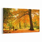 Olla 14331Y Doğa / Manzara Görseli Yatay Kanvas Tablo (Ölçü: 70X50)